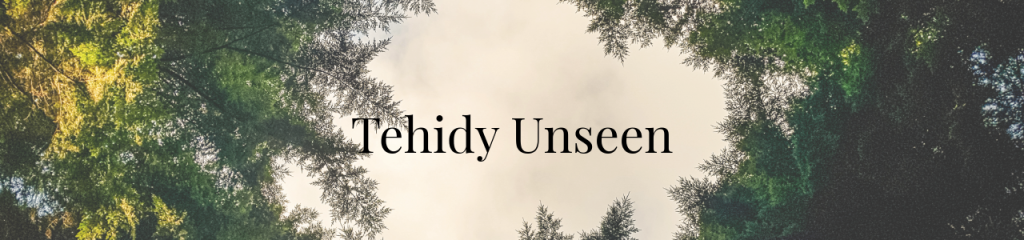 Tehidy Woods Unseen