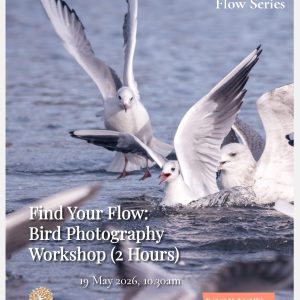 Find Your Flow: Bird Photography Workshop (2 Hours)