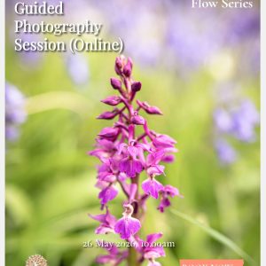 Flow at Home – A Guided Photography Session (Online)-1 (1)