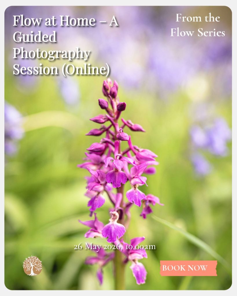 Flow at Home – A Guided Photography Session (Online)-1 (1)