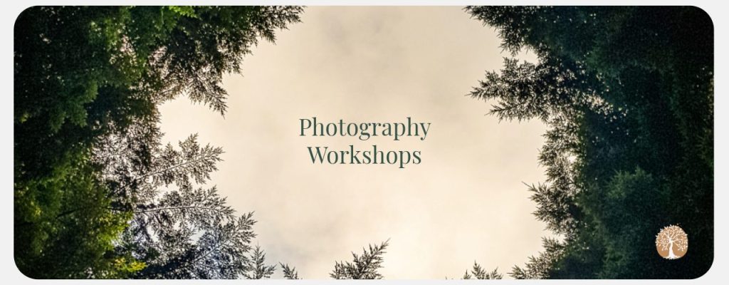 Photography workshops in Cornwall and Devon